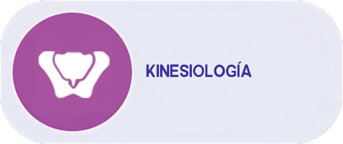 kinesiologia_hd